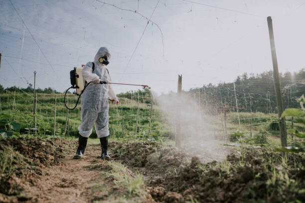 Best Mosquito Control Services  in Allison, IA