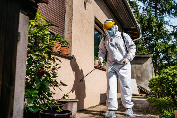 Flea Control Services in Allison, IA