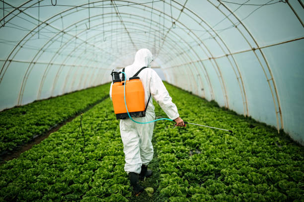 Best Local Pest Control Services  in Allison, IA