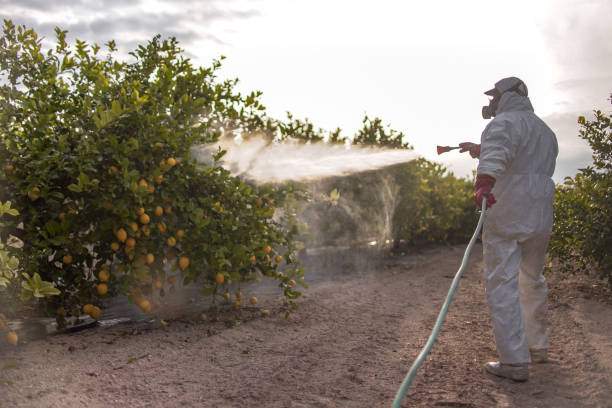 Allison, IA Pest Control Company