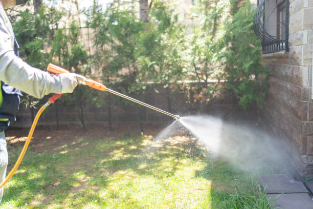 Best Residential Pest Control  in Allison, IA