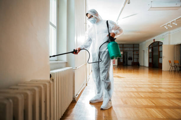 Best Emergency Pest Control  in Allison, IA